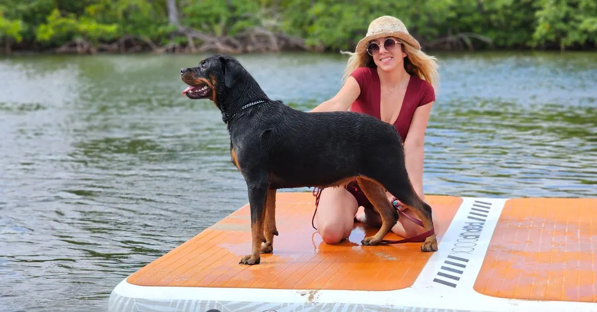 Inflatable Dock Maintenance Guide: Maximize Lifespan 2026